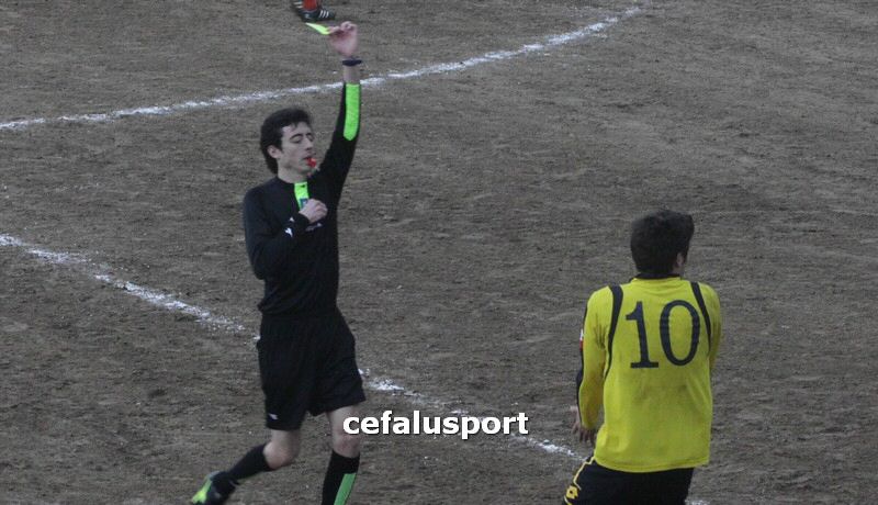 120310 stefanese 201y_tn.jpg